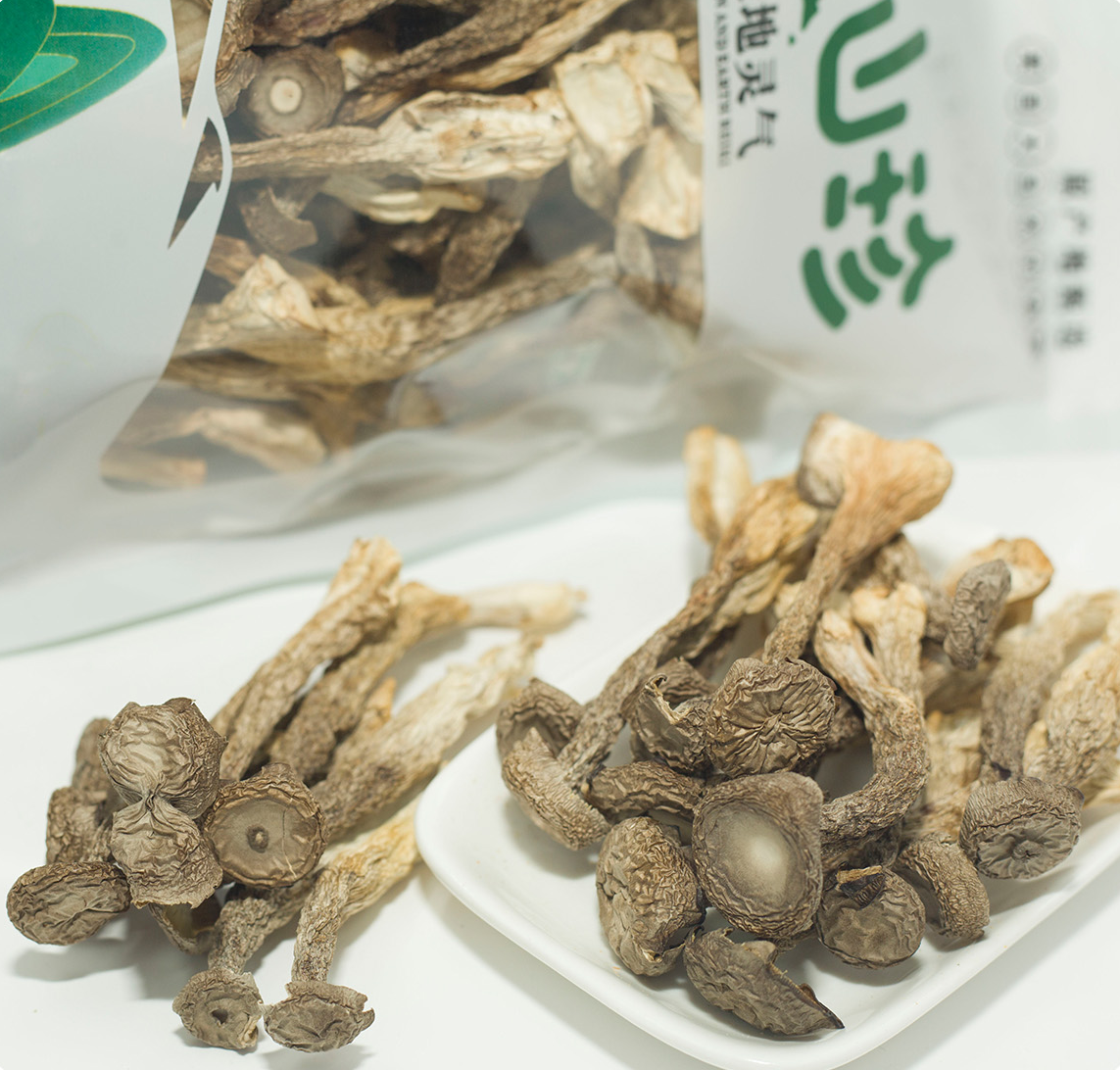 鹿茸菇2.png
